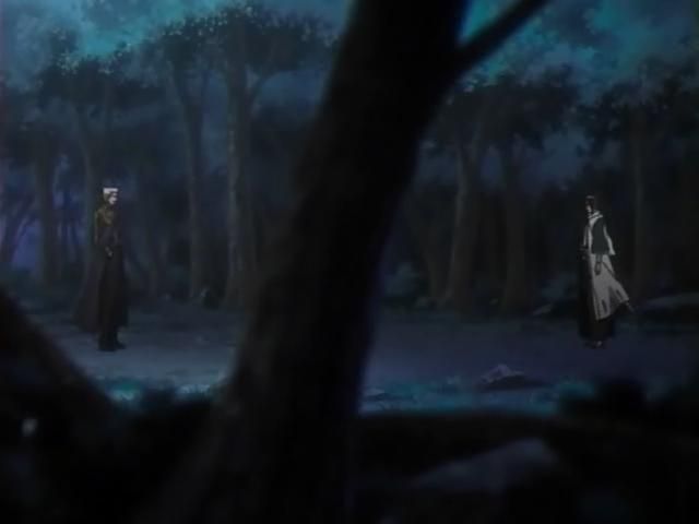 Otaku Gallery  / Anime e Manga / Bleach / Screen Shots / Episodi / 095 - Byakuya prende il campo - Ballo del vento dei fiori di ciliegio / 016.jpg